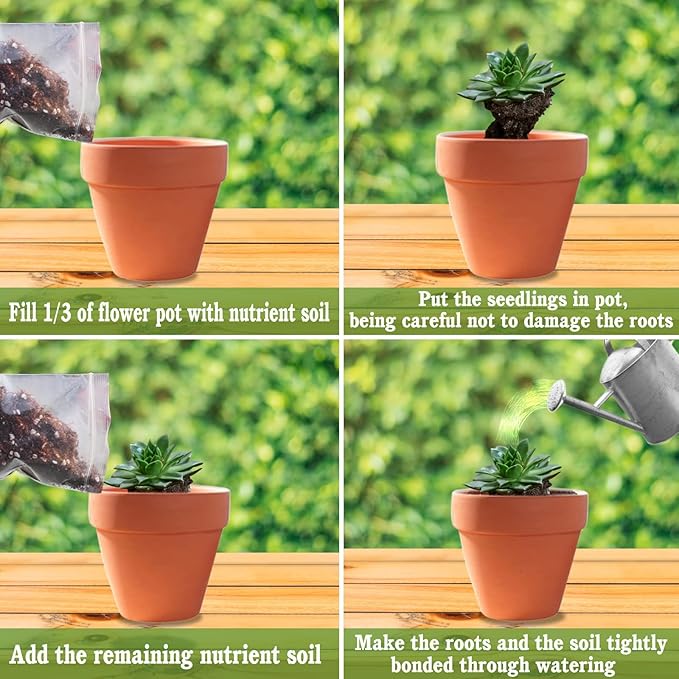 Halatool 6 QT Organic Aloe Plant Soil Potting Mix Garden Top Succulent Soil for Indoor & Outdoor Plants Bonsai Cactus Soil Potting Mix for Houseplants Flowers Vegetables & Herbs