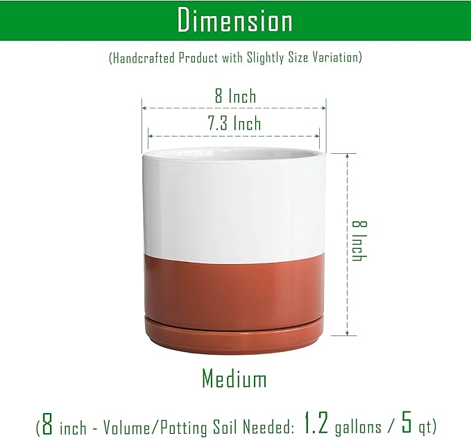 D'vine Dev Set of 2 Plants Pot, 8 Inch Ceramic Planter Pot for Plants with Drainage Hole and Saucer, White/Pottery Red Terracotta, 94-V-D-5