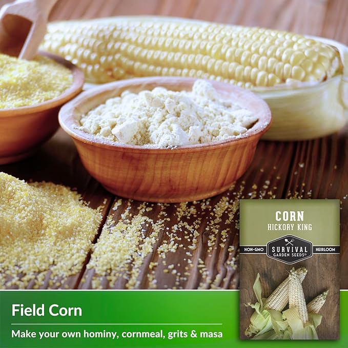 Hickory King Corn Seed for Planting - 5 Packets with Instructions to Plant and Grow White Field or Dent Corn in Your Home Vegetable Garden - Non-GMO Heirloom Variety - Survival Garden Seeds