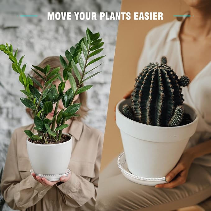 6 Pack Plant Saucer 6 8 10 12 14 Inch Plastic Plant Tray, Sturdy and Durable Flower Pot Container Accessories Plant Pot Saucers for Indoor and Outdoor (10 Inch, Clear)