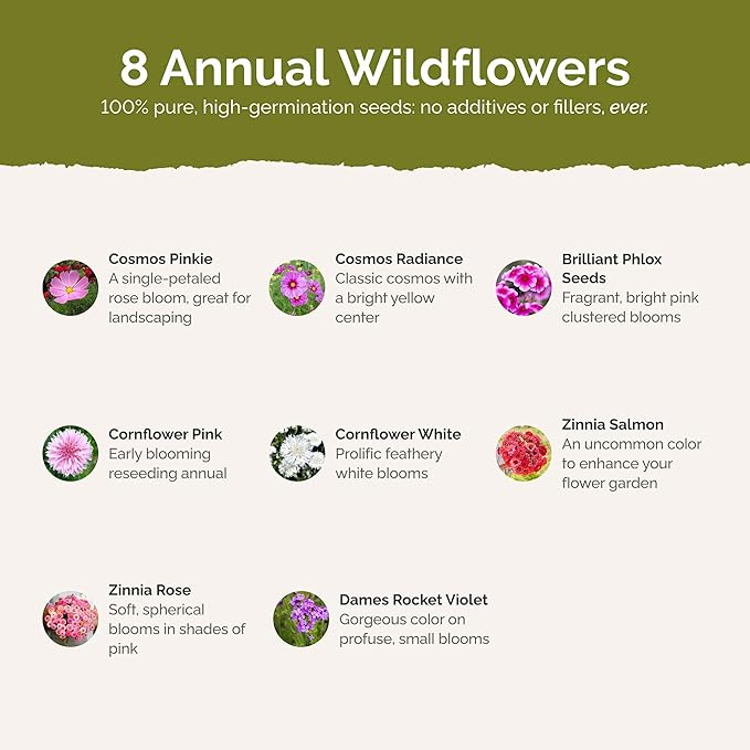 Eden Brothers Tickled Pink Flower Mixed Seeds for Planting, 1 lb, 480,000+ Seeds with Cosmos, Cornflower, Zinnia | Attracts Pollinators, Plant in Spring or Fall, Zones 3, 4, 5, 6, 7, 8, 9, 10