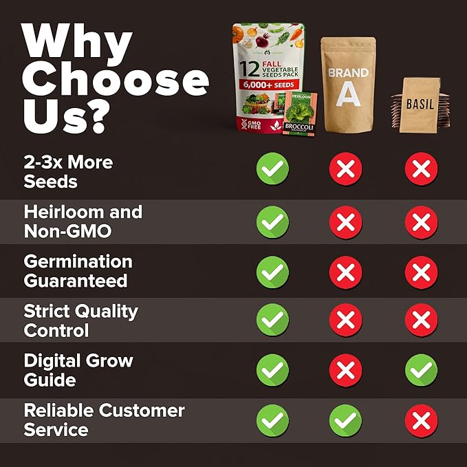 HOME GROWN 12 Fall Vegetable Seeds - USA Heirloom Non GMO Fall & Winter Vegetable Seeds for Planting Home Garden: Beets, Broccoli, Cabbage, Kale, Onion, Peas, Pumpkin, Turnip, Lettuce & More