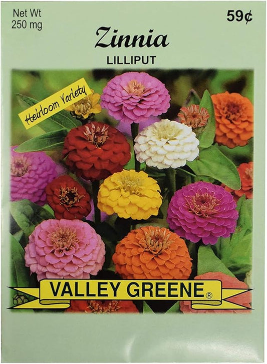 Set of Flower Seed Packets! Flower Seeds in Bulk - Great for Creating The Garden of Your Dreams! (50, Zinnia - Lilliput)