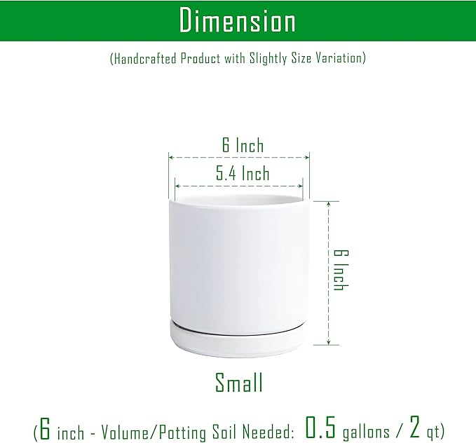 D'vine Dev Set of 2 Plants Pots, 6 Inch Ceramic Planter Pot for Plants with Drainage Hole and Saucer, White, 94-V-C-1