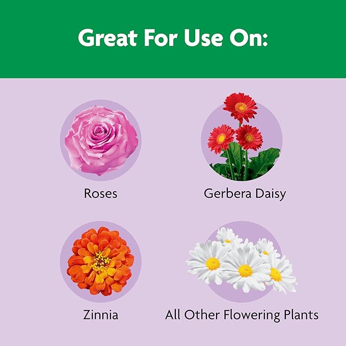 Miracle-Gro Shake 'n Feed Rose and Bloom Plant Food - Promotes More Blooms and Spectacular Colors (vs. Unfed Plants), Feeds Roses and Flowering Plants for up to 3 Months, 1 lb.