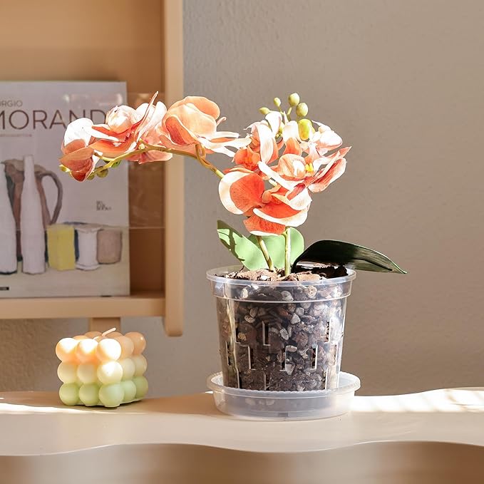 TRUEDAYS 4 Pack Orchid Pot with Saucers Garden Pot 5 Inch Clear Plastic Plant Pots with Drainage Holes for Indoor Outdoor Plants