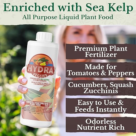 HydraVeggies Tomato & Vegetable Garden Fertilizer - with Sea Kelp to Stimulate Root & Fruit Growth - All Purpose Liquid Plant Food Nutrient For Indoor and Outdoor Gardens & Hydroponics NPK 2-6-4 16 oz