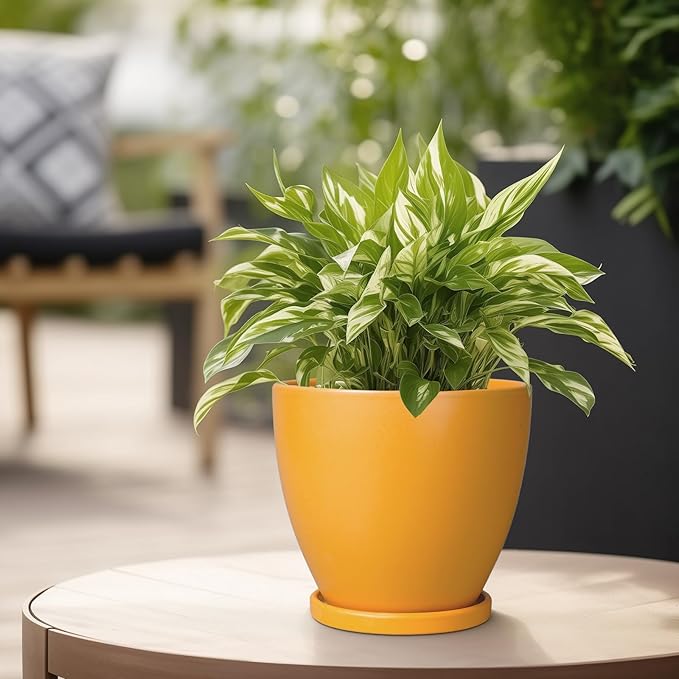 6 Inch Plant Pot - Ceramic Planter with Drainage Hole and Saucer, Modern Round Flower Pot, Planters for Indoor Plants, Home Garden Decor, Orange