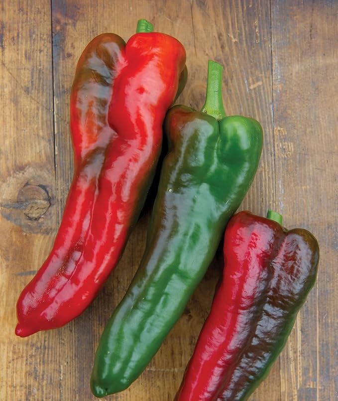 Burpee Thunderbolt Hybrid Sweet Italian Roasting Pepper Seeds | 20 Non-GMO Seeds | Vegetable Seeds for Planting | Grow Your Own Fresh Bell Pepper Live Plants