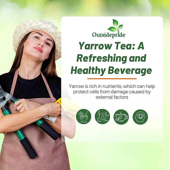 Outsidepride Achillea Millefolium Wild White Yarrow Seeds - 1 Lb. Perennial Flower Seeds, Drought Resistant, Low Maintenance & Easy Planting for Beautiful Garden & Fireflies Attraction