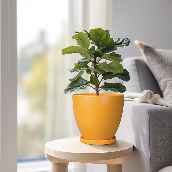 6 Inch Plant Pot - Ceramic Planter with Drainage Hole and Saucer, Modern Round Flower Pot, Planters for Indoor Plants, Home Garden Decor, Orange