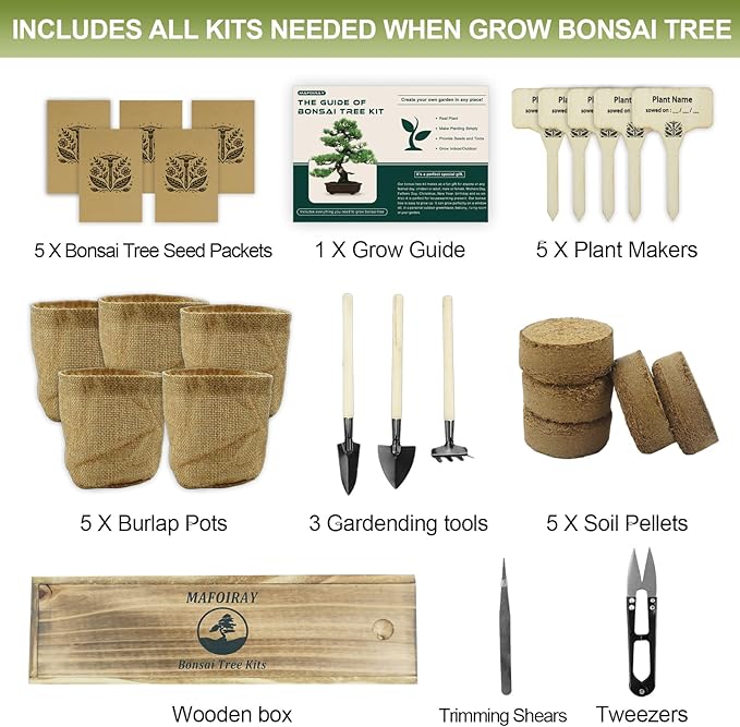 Bonsai Tree Kit, 5 X Unique Japanese Bonsai Trees, Include Bonsai Tree Seeds, Tools, Complete Indoor Bonsai Starter Kit for Growing Bonsai Plants, Gardening Gifts for Women & Men