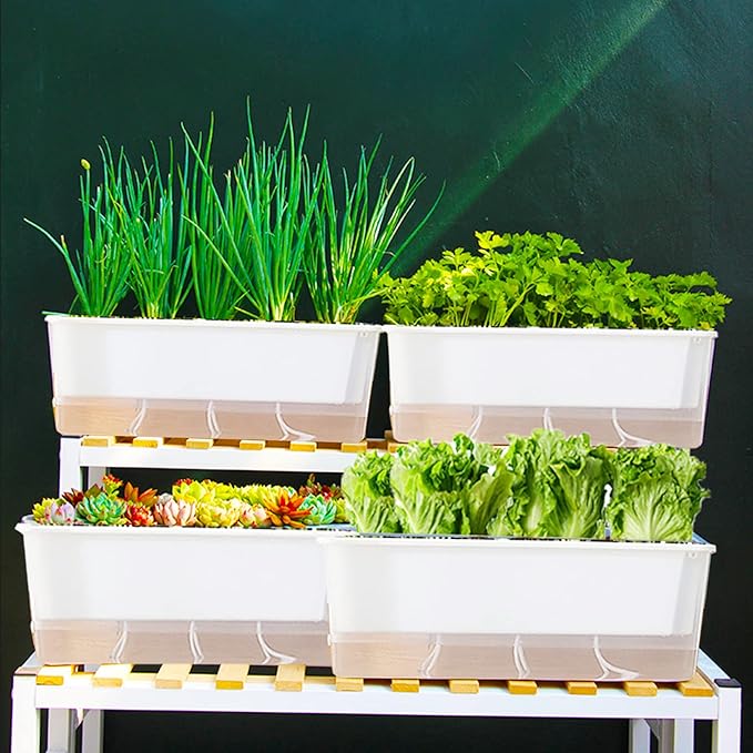 FAMZ Self Watering Pots 3 Pack,Transparent Rectangular Planting Pots, Self Watering Pots for Indoor Plants, Suitable for Growing African Violets, Fruits, Vegetables, Flowers, Plant Pots,Herb Planter