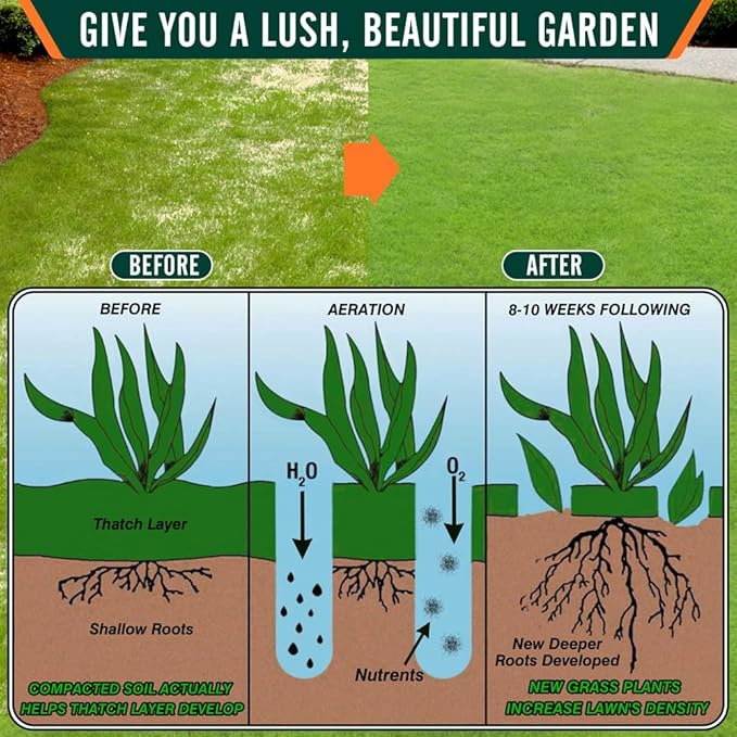 Colwelt Lawn Aerator Tool 38inch, Heavy Duty Grass Spike Aerator for Compacted Soil Aeration, Manual Lawn Air Aerators Tool with,Wide Foot Plate, Rugged Steel Spikes 3.5’’ in Length, 2/5’’ in Dia.