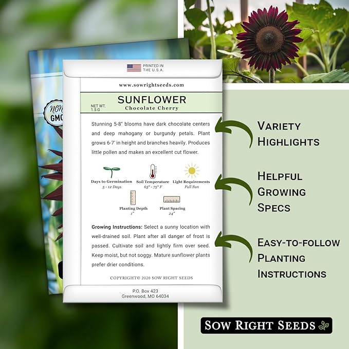 Sow Right Seeds - Chocolate Cherry Sunflower Seeds for Planting - Non-GMO Heirloom Packet with Instructions for Growing - Beautiful Giant Flower - Rare Burgundy and Dark Brown Petals (2)