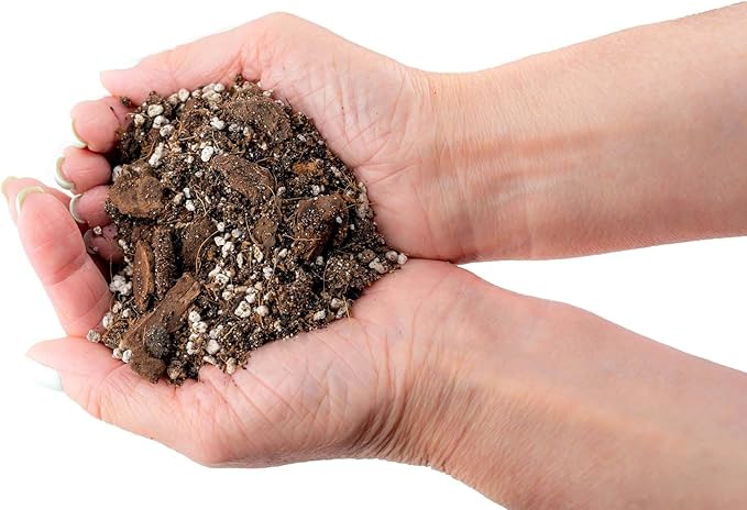 Fiddle Leaf Fig House Plant Soil Premium All Purpose Blend - Peat Moss, New Zealand Bark, Coco Chips and Fibers, Perlite - 3 Quart Bag