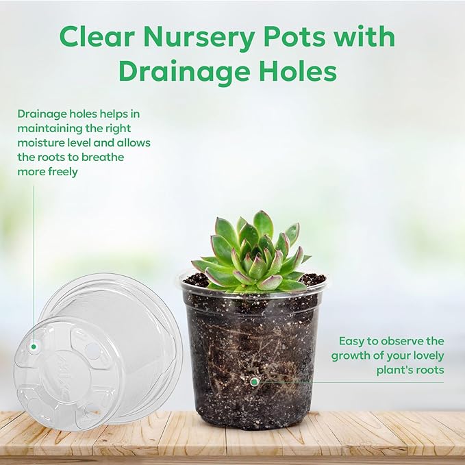 60 Packs 3.5 Inch Reinforced Clear Nursery Pots with Drainage Hole, Transparent Variety Pack Plastic Plant Pot Seedling Planter Seed Starter Flower