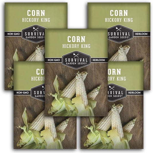 Hickory King Corn Seed for Planting - 5 Packets with Instructions to Plant and Grow White Field or Dent Corn in Your Home Vegetable Garden - Non-GMO Heirloom Variety - Survival Garden Seeds