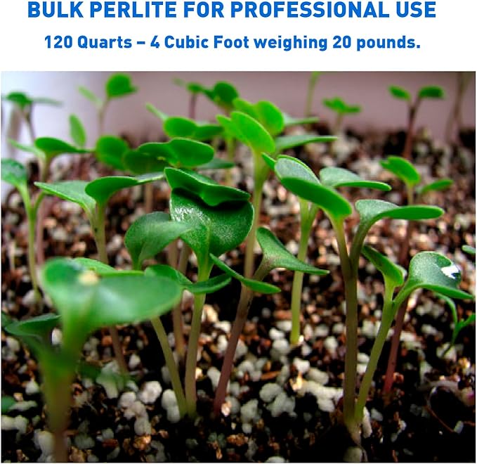 Norcal Perlite Horticultural Organic Certified Premium Screened Coarse – Garden Indoor Outdoor Plants – Soil Additive Better Aeration and Drainage - 4 Cubic Feet (103 Quarts) 1 Bag