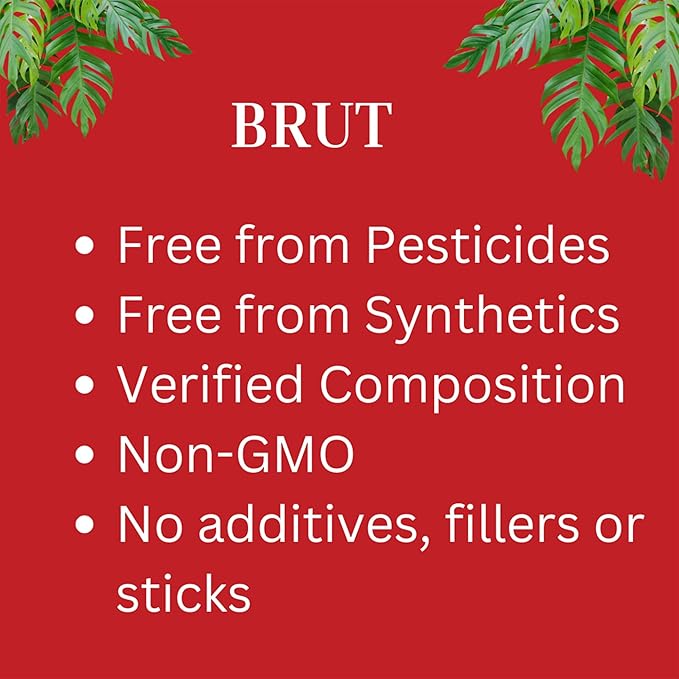 Brut Organic Potting Soil – 1 CF – Everything Your Plants Need in one Bag. Indoor and Outdoor Container Plants. 10 Pack