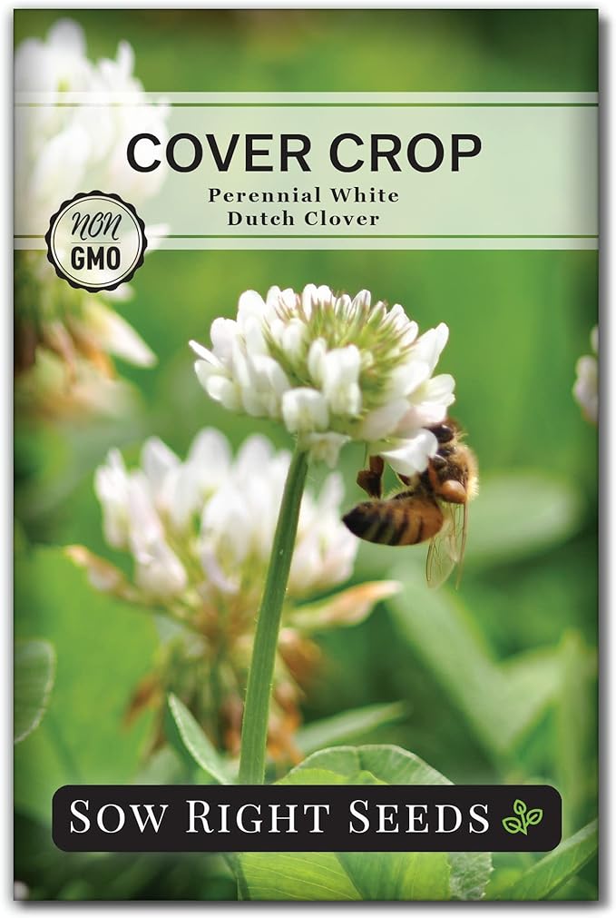 Sow Right Seeds - White Dutch Clover Seed for Planting - Cover Crops to Plant in Your Home Garden - Nitrogen Fixer - Suppress Weeds - Attracts Pollinators - Non-GMO Heirloom Seeds - Gardening Gift (1)