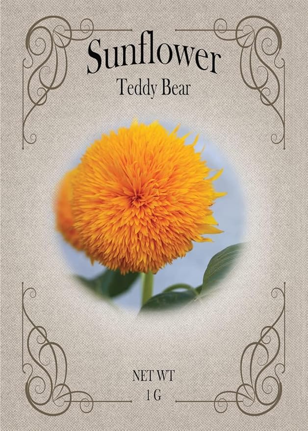 Black Duck Brand Set of Flower Seed Packets! Flower Seeds in Bulk - Great for Creating The Garden of Your Dreams! (50, Teddybear Sunflower)