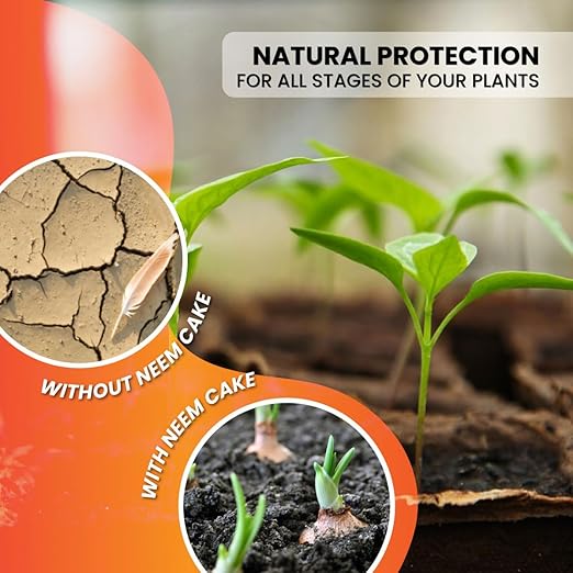 Premium Neem Cake, Natural Fertilizer for Gardening and Soil Amendment (1LB)