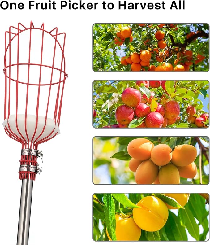 Fruit Picker, 13 FT Fruit Picker Pole with Large Basket, Length Adjustable Gardening Tools, Apple, Apricot, Orange, Mango Trees Picking, Fruit Catcher with Metal Long Handle, Extra Fruit Carrying Bag