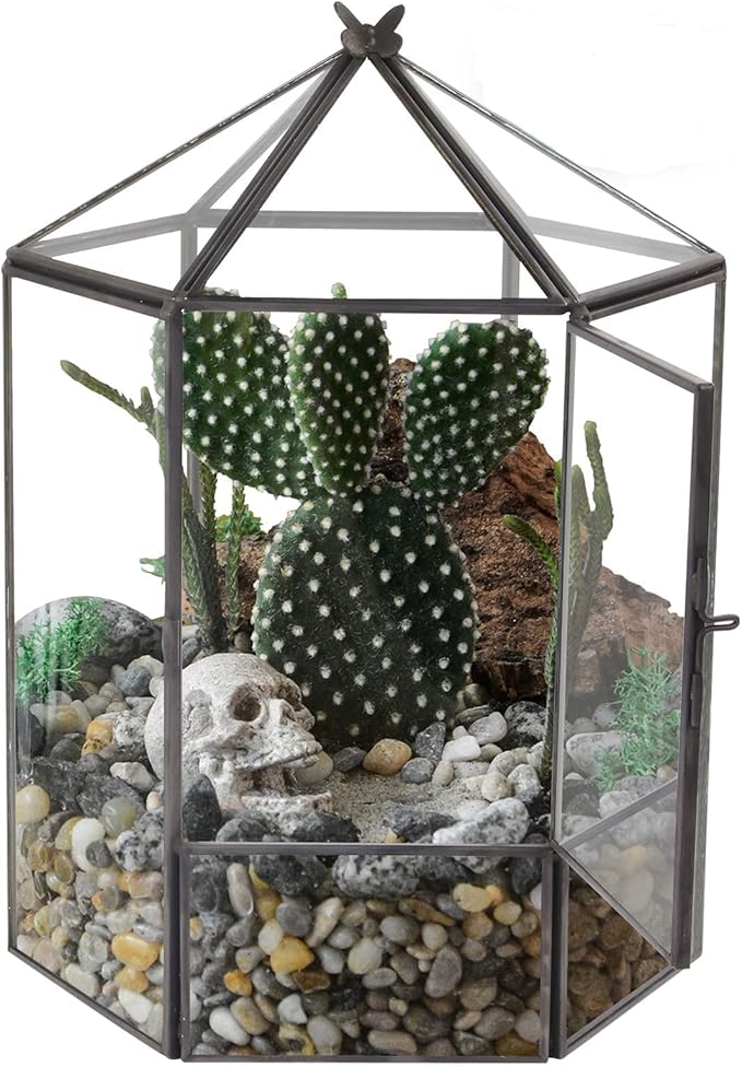 Glass Geometric Plant Terrarium,Succulent & Air Planter for Home Garden Office Decoration,No Plants(Black Hexagonal)