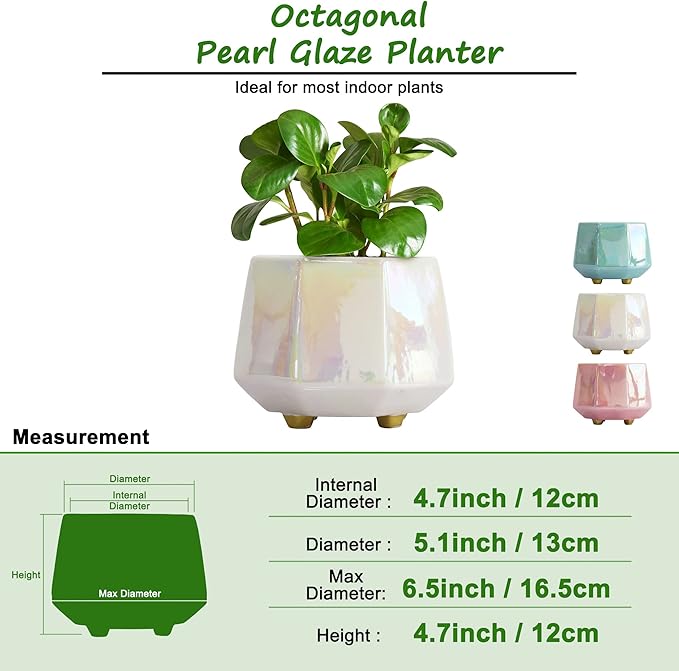 6 Inch Ceramic Planter for Indoor Plants - Plant Pots with Drainage Hole - Modern Minimalist Flower Pot for Succulents and Herbs