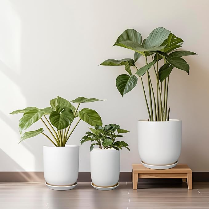 Plant Pot 8 Inch - Ceramic Planter for Indoor Plants Outdoor, Large Plant Pot with Drainage Hole and Saucer, Modern Flower Pot, White