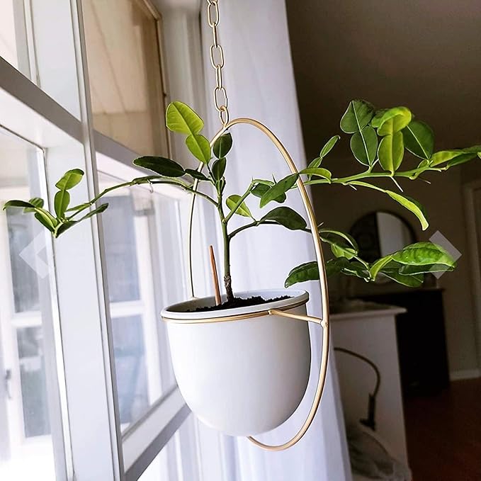 2 Pack Hanging Planters for Indoor Plants with 5.5" Pot + Ceiling Hook + Extender Chain | Hanging Plant Holder, Metal Minimalist Planter, NO Plant incld