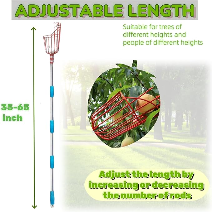 Adjustable Fruit Picker with Telescoping Handle and Basket, 35-65 Inches - Ideal for Apple, Orange, Avocado, Lemon, Pear, and Mango Harvesting