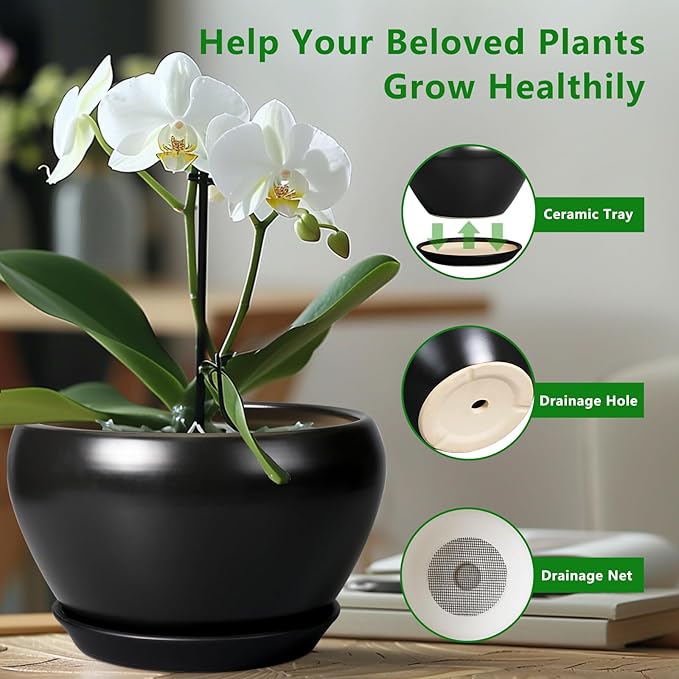 Ceramic Pot for Plants - 11 Inch Plant Pot Indoor with Drainage Hole and Saucer Large Planter Decorative Planter Modern Outdoor Flower Pot for House Balcony Black