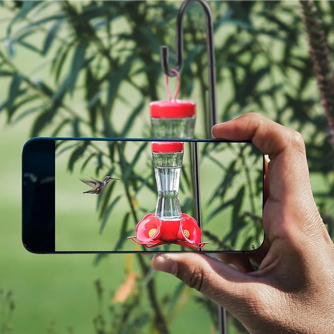 Bird Feeder Pole, 30 Inch & 5/8 Inch Diameter Stainless Steel Heavy Duty Shepherds Hooks for Outdoor to Hang Outdoor Lights with 5 Prongs Base, Rustproof for Garden Decor or Wedding Decors(Black)