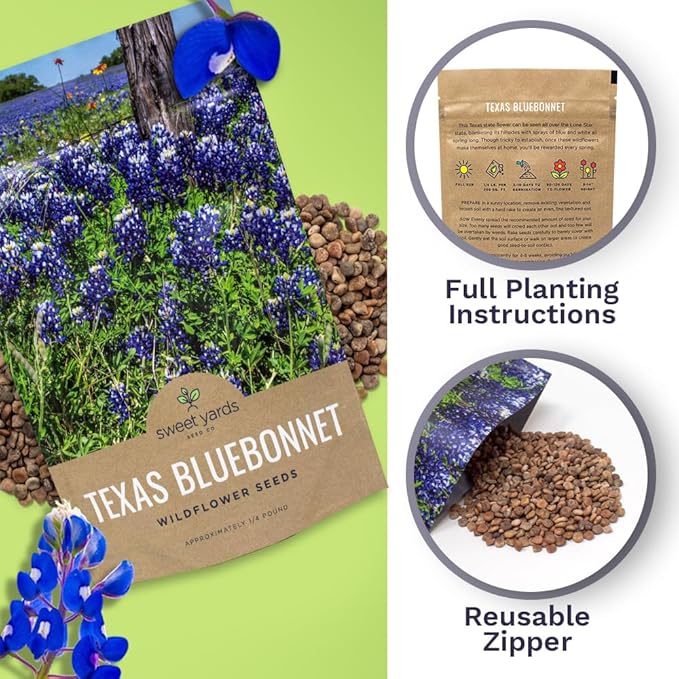 Texas Bluebonnet Wildflower Seeds - Bulk 1/4 Pound Bag - Over 4,000 Native Seeds - Texas State Flower!