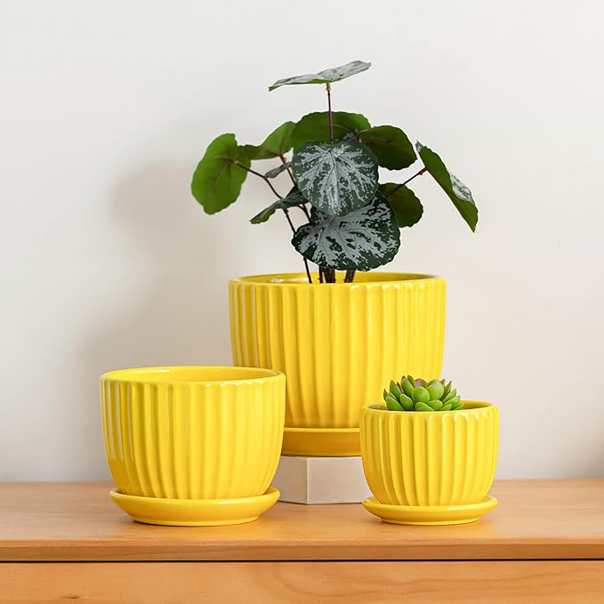 Ton Sin Ceramic Flower Pots,Yellow Plant Pots for Indoor Plants,4.1+5.1+6.5 inch Ceramic Plant Pots with Tray,Medium Indoor Planters for Aloe Cactus Decorative Pots with Drainage Hole (Set of 3)
