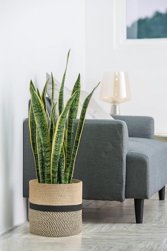 Dahey Jute Rope Plant Basket Modern Woven Storage Basket for 10" Indoor Planter, Decorative Flower Pots Cover Laundry Bin with Handle Rustic Home Decor, Black