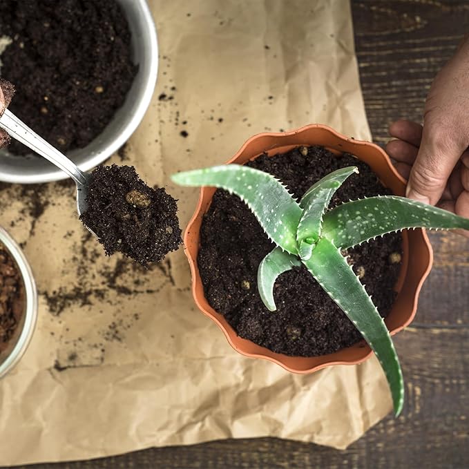 Aloe Vera Potting Soil Mix 4qt, Ready to Use for Seedling and Growing of Aloe Vera Plants or Other Houseplants