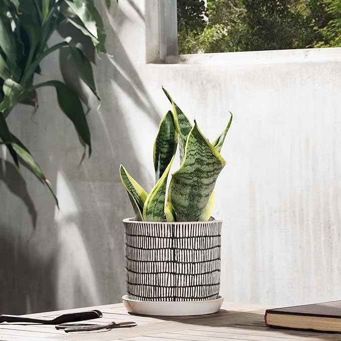 6 Inch Plant Pot: Ceramic Planter with Drainage Hole & Saucer for Indoor Outdoor Plants - Flowerpot with Bonded Tray for Home Office - Mixed Stripe Debossed