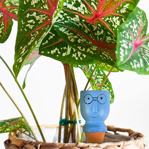 8 Pack Terracotta Watering Spikes, Vacation Self-Watering Planters Devices - Continuous Moisture with Slow Release Watering System - Perfect for Indoor Outdoor Plants (Big head-2pc)
