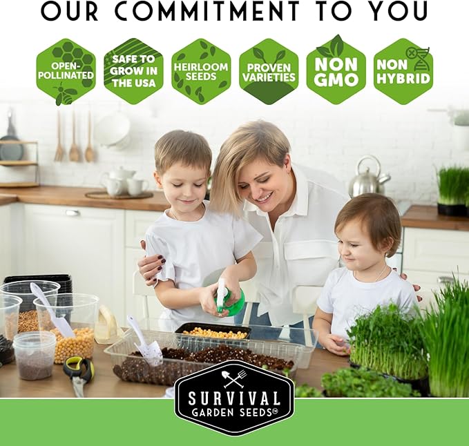 Survival Garden Seeds 1 Pack Clover Microgreens Seeds for Planting & Growing Indoors – Plant Green Leafy Micro Herbs Indoors – Non-GMO Heirloom – Grow a Salad on Your Window Sill