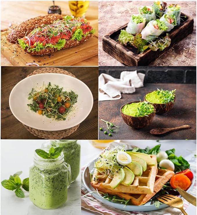 Complete Microgreens Growing Kit with 6 of The Most Popular Seed Varietes to Grow Nutritious Microgreens at Home.