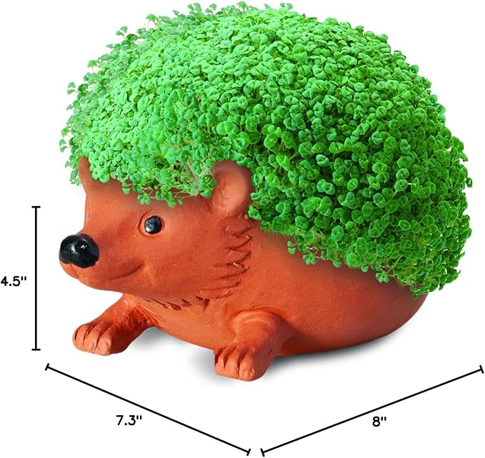 Chia Pet Hedgehog Decorative Pottery Planter with Seed Pack, Decorative Pottery Planter, Easy to Do and Fun to Grow, Novelty Gift, Perfect for Any Occasion