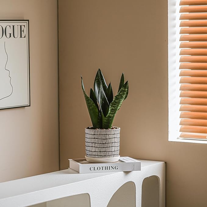 6 Inch Plant Pot: Ceramic Planter with Drainage Hole & Saucer - Cylinder Flowerpot for Indoor & Outdoor Plants - with Separate Tray for Home & Office - Striped Design