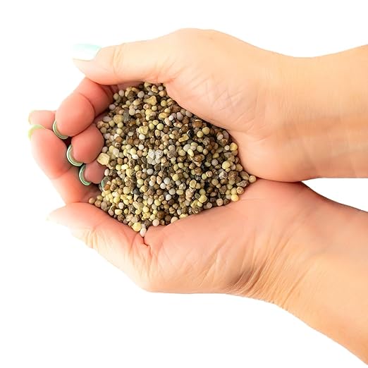 Premium 8-10-10 Fertilizer for Palm Trees, Citrus Plants and Other Tropical Plants by Gardenera - Boost Biomass and Enhance Leaf Color - 20 Quart