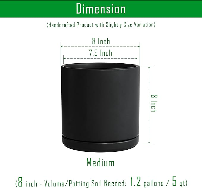 D'vine Dev Set of 2 Plants Pots, 8 Inch Ceramic Planter Pot for Plants with Drainage Hole and Saucer, Black, 94-V-D-2