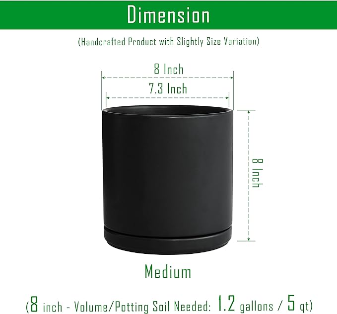 D'vine Dev Set of 2 Plants Pots, 8 Inch Ceramic Planter Pot for Plants with Drainage Hole and Saucer, Black, 94-V-D-2
