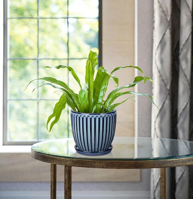 Oairse Ceramic Pots for Indoor Plants, 4.9 +5.7 inch Pots for Plants Set of 2 Blue Plant Pots with Drainage Holes and Saucers Texture Ceramic Planters Indoor Outdoor Flower Pots for Succulent