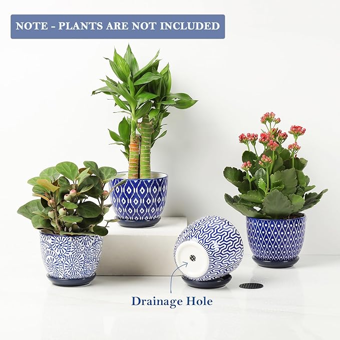 Selamica Ceramic Succulent Pots with Drainage Holes, Small Flower Pots 3.5 Inch Plant Pots for Indoor Plants with Saucers, Cactus Succulent, Home Decor, Set of 4, Vintage Blue
